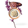 Catit Go Natural Pea Husk Clumping Cat Litter Dust Free-4