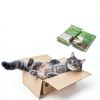 Purina Breeze Cat Litter Box System Odor Control Pellets-11