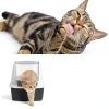 Catit Go Natural Pea Husk Clumping Cat Litter Dust Free-5
