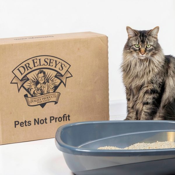 Precious Cat Low Dust Clumping Cat Litter Premium Quality-7