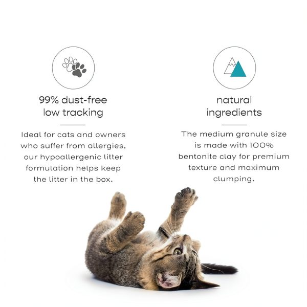 Precious Cat Low Dust Clumping Cat Litter Premium Quality-3
